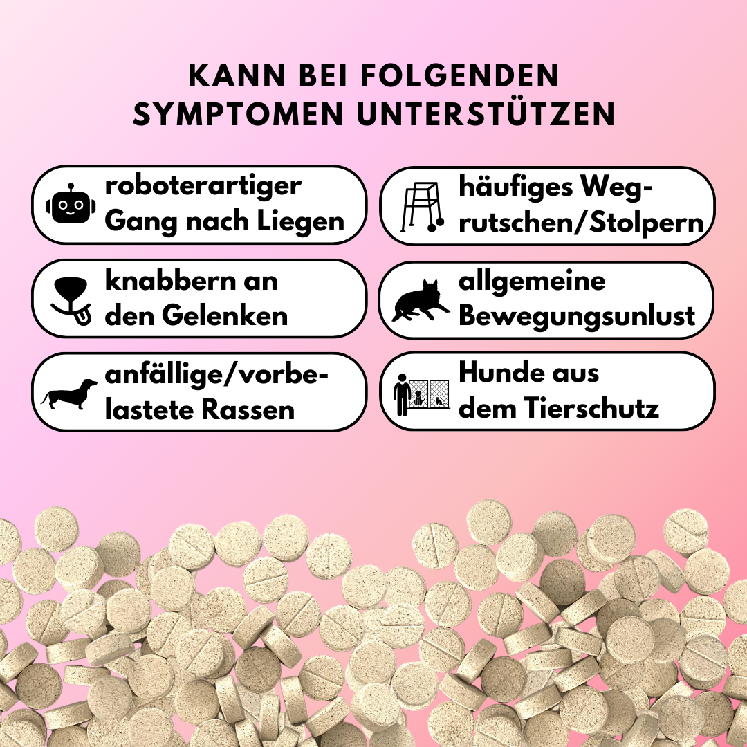 Gelenktabletten mit Glucosamin, Grünlippmuschel und Kurkuma (60 Stk.)